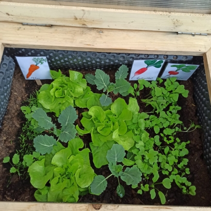 COPAK JEZDÍ, LÍTÁ, PLAVE KOLEM STROMU ? -DUBEN