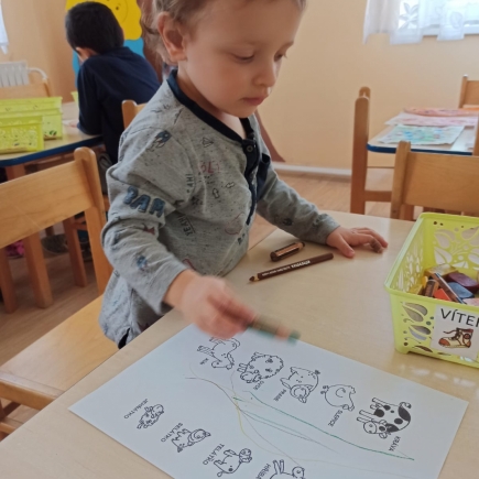 COPAK JEZDÍ, LÍTÁ, PLAVE KOLEM STROMU ? -DUBEN