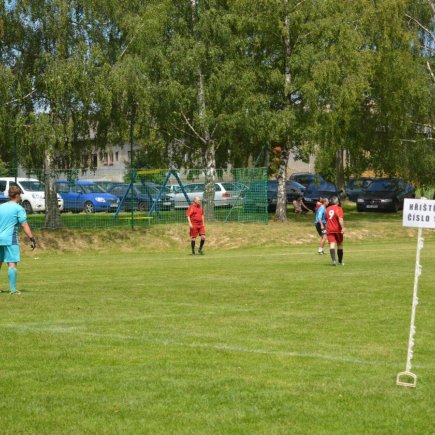 Libotov cup 2016