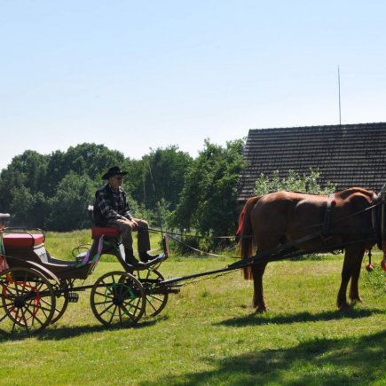 Den dětí 2015