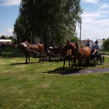 Den dětí 2008