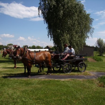 Den dětí 2008