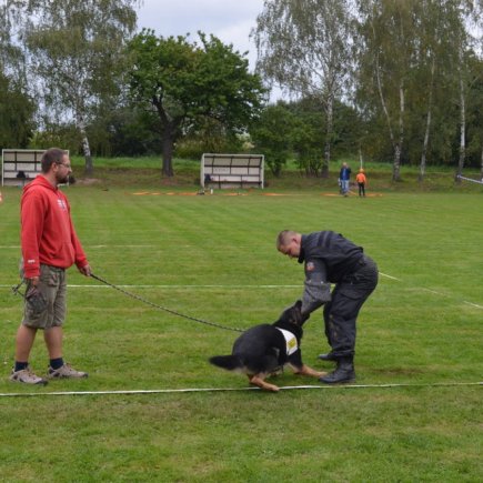 Hustířanka CUP 2012