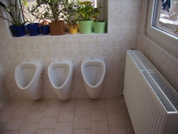 nový článek